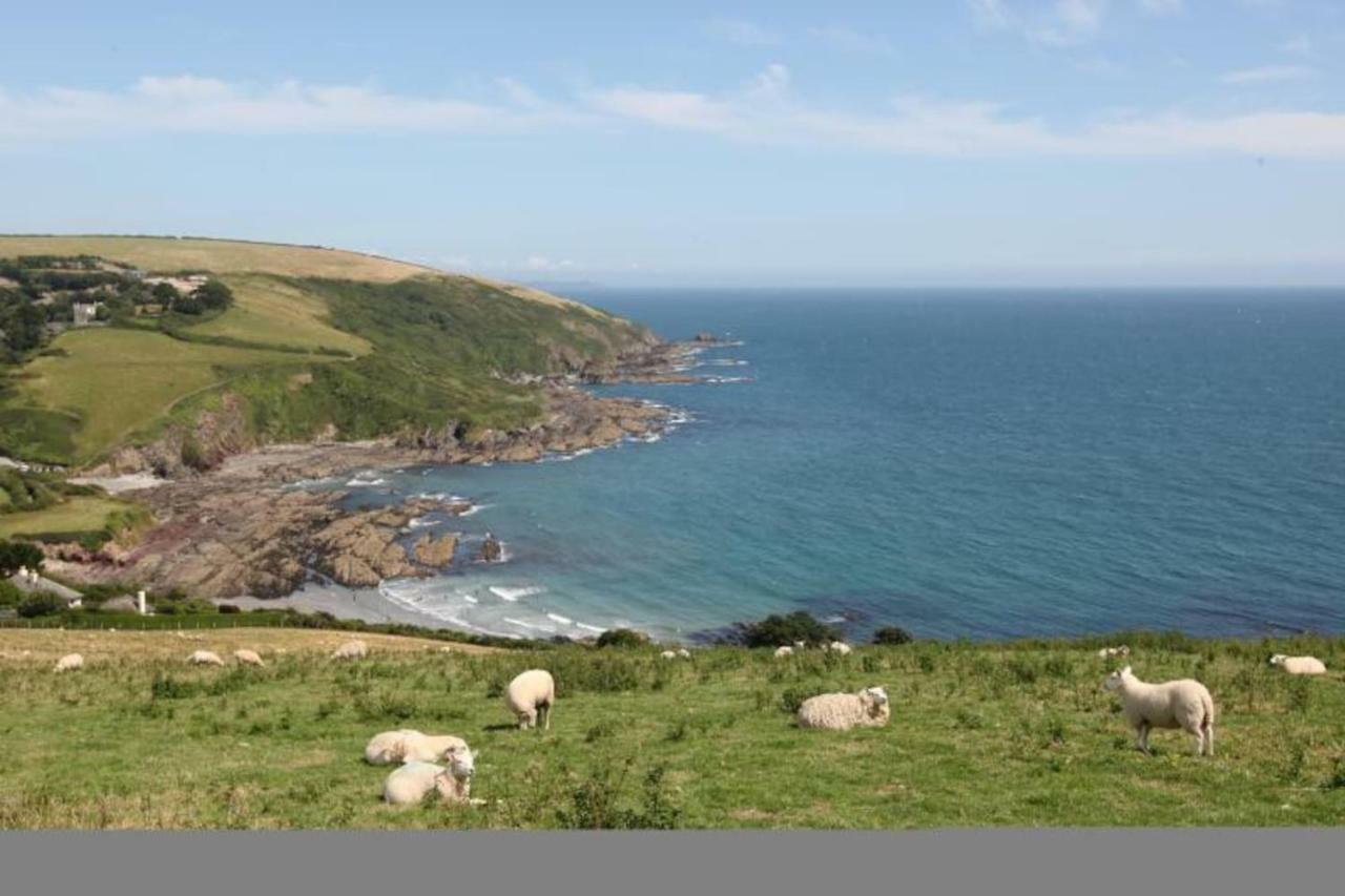 Polmear Harbour View With Terrace Lejlighed Looe Eksteriør billede